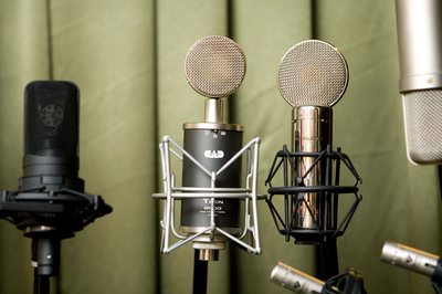 Sbírka mikrofonů 3bees studia činí něco přes 50 kousků...