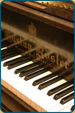 detail